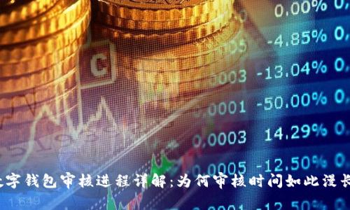 数字钱包审核进程详解：为何审核时间如此漫长？