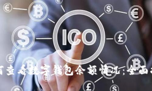 如何查看数字钱包余额情况：全面指南