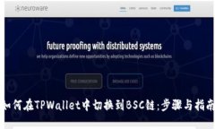 如何在TPWallet中切换到BS