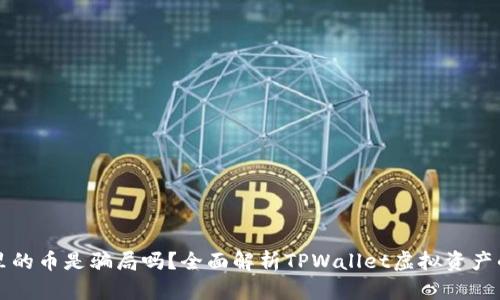 TPWallet里的币是骗局吗？全面解析TPWallet虚拟资产的真实情况