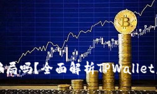 TPWallet里的币是骗局吗？全面解析TPWallet虚拟资产的真实情况