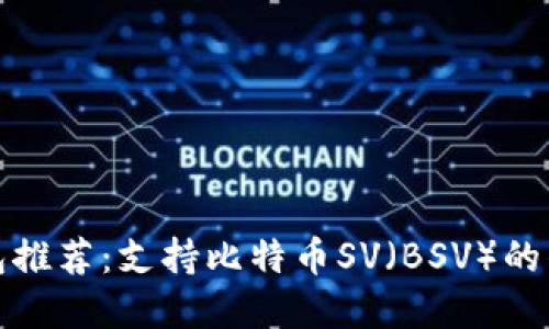 最佳数字钱包推荐：支持比特币SV（BSV）的钱包选择指南