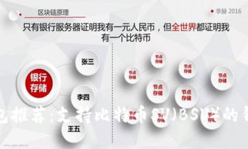 最佳数字钱包推荐：支持比特币SV（BSV）的钱包选择指南