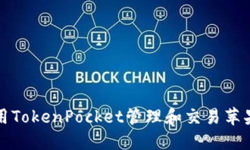 如何使用TokenPocket管理和交易苹果链资产