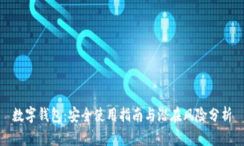 数字钱包：安全使用指南与潜在风险分析