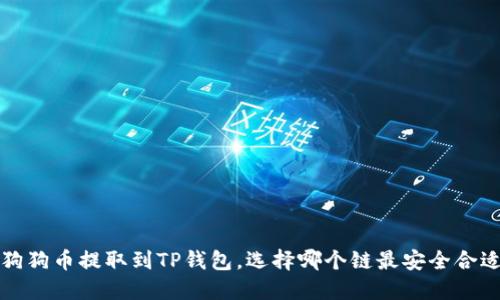  狗狗币提取到TP钱包，选择哪个链最安全合适？