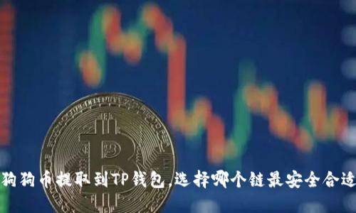  狗狗币提取到TP钱包，选择哪个链最安全合适？