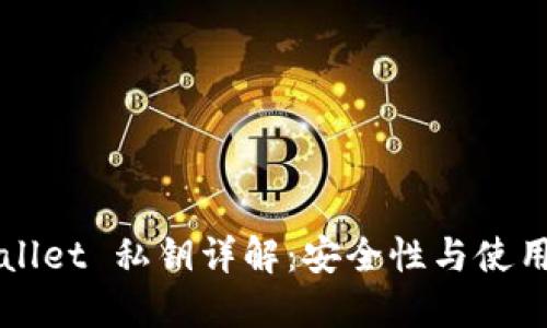 TPWallet 私钥详解：安全性与使用指南