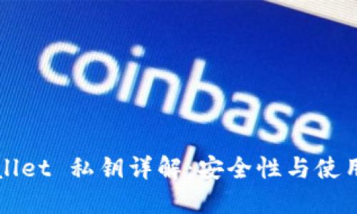 TPWallet 私钥详解：安全性与使用指南