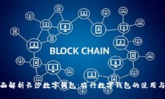 : 全面解析长沙数字钱包：