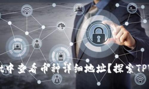 如何在TPWallet中查看币种详细地址？探索TPWallet地址功能