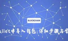 如何在TPWallet中导入钱包：