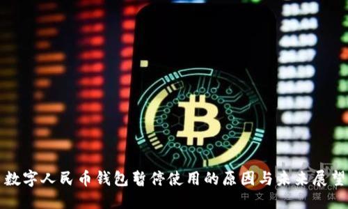 数字人民币钱包暂停使用的原因与未来展望