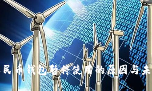 数字人民币钱包暂停使用的原因与未来展望