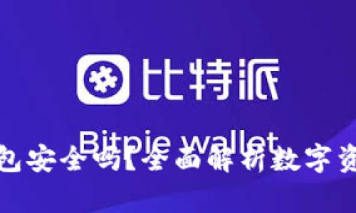 应用加密的钱包安全吗？全面解析数字资产的保护机制