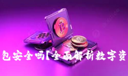 应用加密的钱包安全吗？全面解析数字资产的保护机制