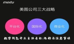 数字钱包开立主体名称：