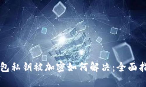 钱包私钥被加密如何解决：全面指南