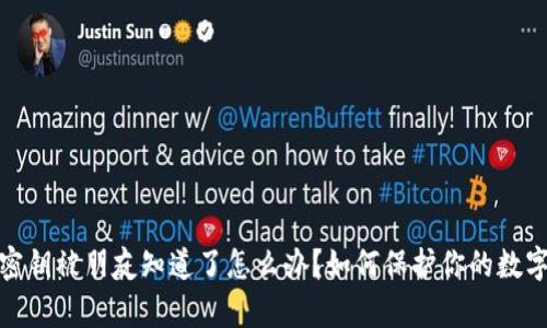 tpwallet密钥被朋友知道了怎么办？如何保护你的数字资产安全
