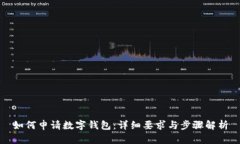 如何申请数字钱包：详细要求与步骤解析