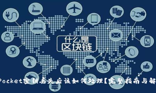 TokenPocket密钥丢失后该如何处理？完整指南与解决方案