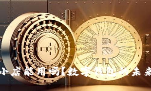 数字钱包小店能用吗？数字钱包的未来潜力解析
