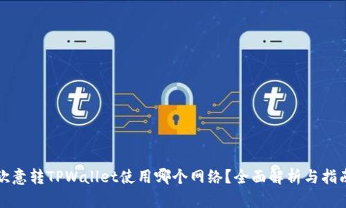 欧意转TPWallet使用哪个网络？全面解析与指南