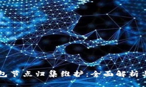 区块链钱包节点归集维护：全面解析与实用技巧
