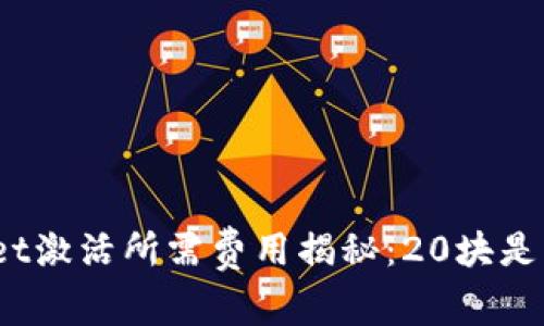 tpwallet激活所需费用揭秘：20块是真的吗？
