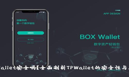 TPWallet安全吗？全面剖析TPWallet的安全性与风险