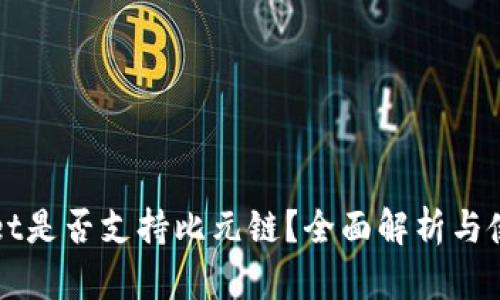 TPWallet是否支持比元链？全面解析与使用指南