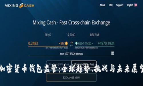 加密货币钱包监管：全球趋势、挑战与未来展望