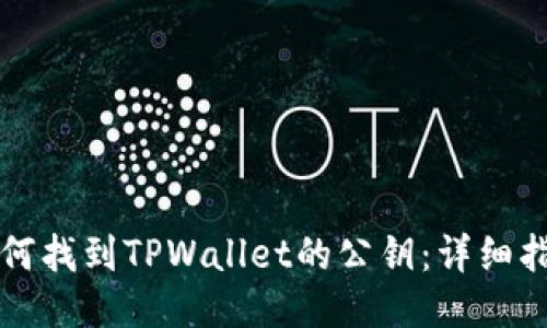 如何找到TPWallet的公钥：详细指南
