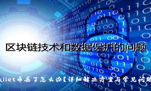 TPWallet币丢了怎么办？详细解决方案与常见问题解析