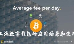 探索上海数字钱包的应用场景和使用地点