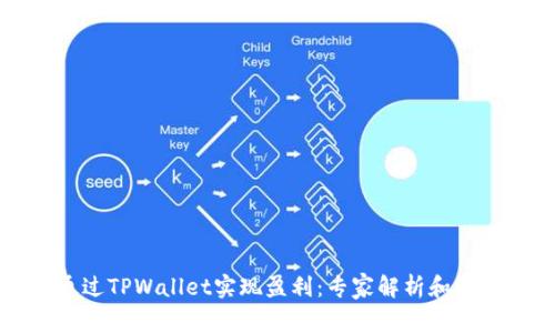 如何通过TPWallet实现盈利：专家解析和策略分享