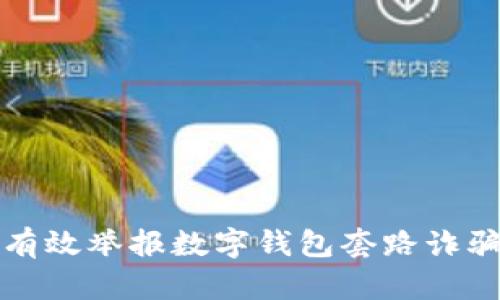  如何有效举报数字钱包套路诈骗行为？