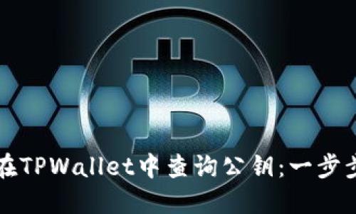 如何在TPWallet中查询公钥：一步步指南