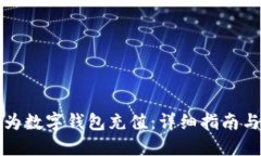 如何为数字钱包充值：详细指南与技巧