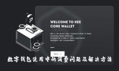 数字钱包使用中的消费问