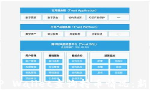 
如何使用TP Wallet查询持币情况：新手必看指南