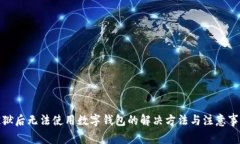 越狱后无法使用数字钱包的解决方法与注意事项