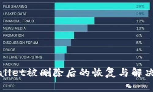 TPWallet被删除后的恢复与解决方案