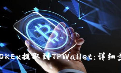 如何将SHIB从OKEx提取到TPWallet：详细步骤与注意事项