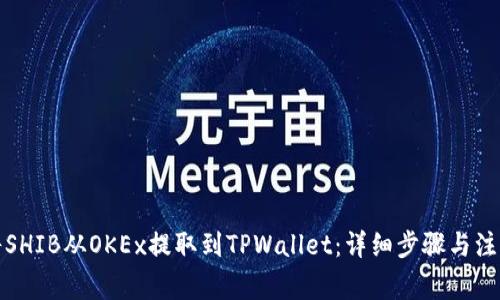 如何将SHIB从OKEx提取到TPWallet：详细步骤与注意事项