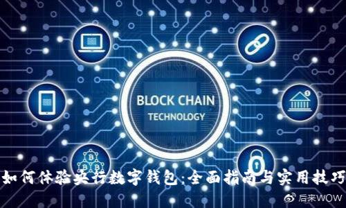 如何体验央行数字钱包：全面指南与实用技巧