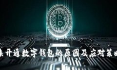 未开通数字钱包的原因及应对策略