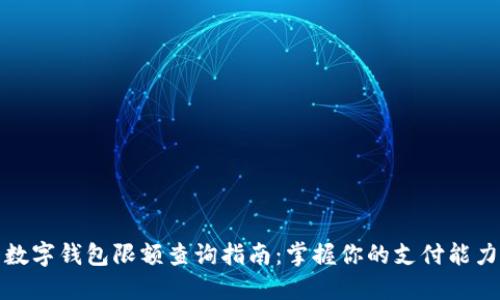 数字钱包限额查询指南：掌握你的支付能力