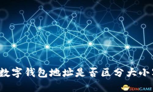 TP数字钱包地址是否区分大小写？