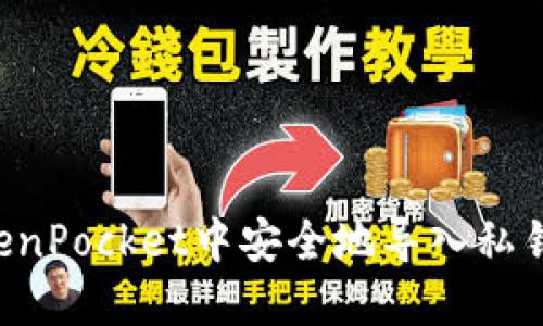如何在TokenPocket中安全地导入私钥：详细指南